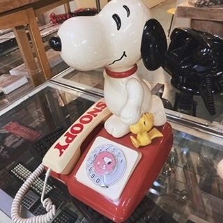 京 さゆみ