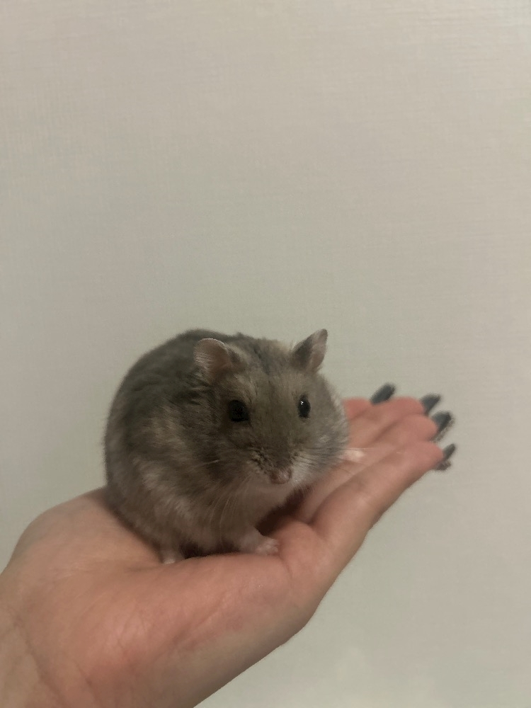 かびるんるんさわ
