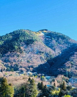 ゆかり