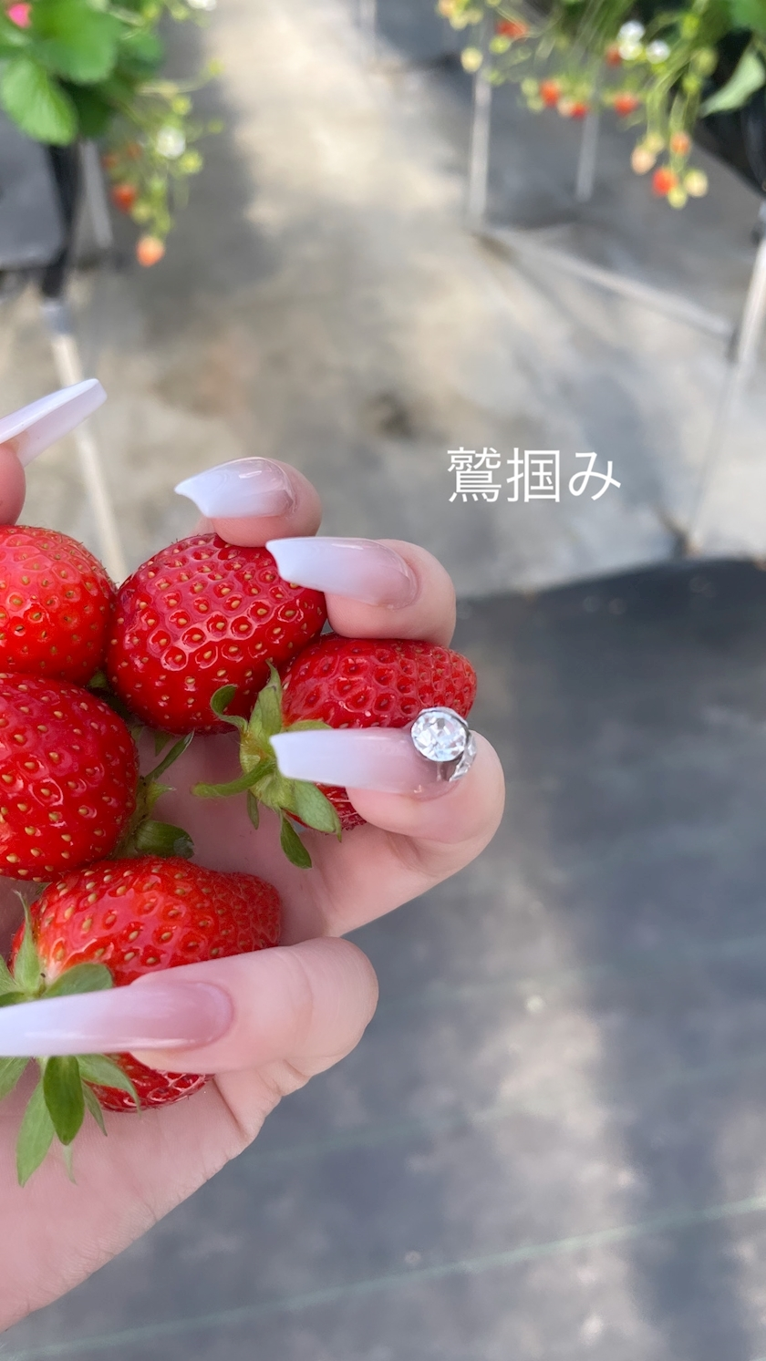 らん