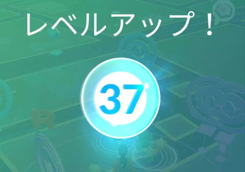 五条 椿