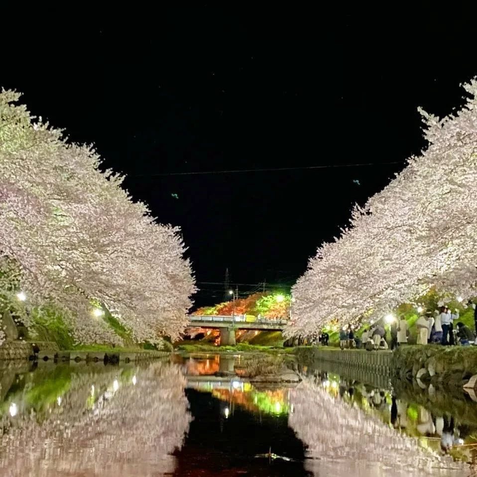 ことね