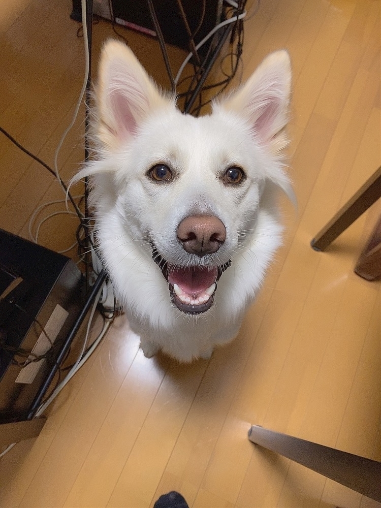 京 さゆみ
