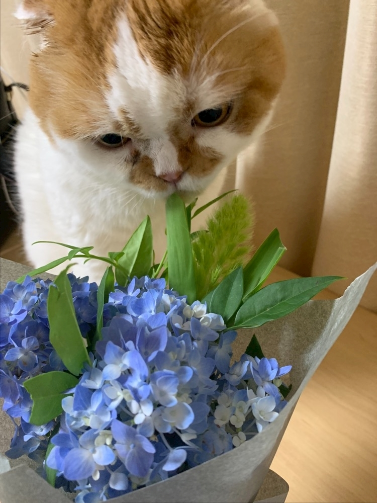 れみ