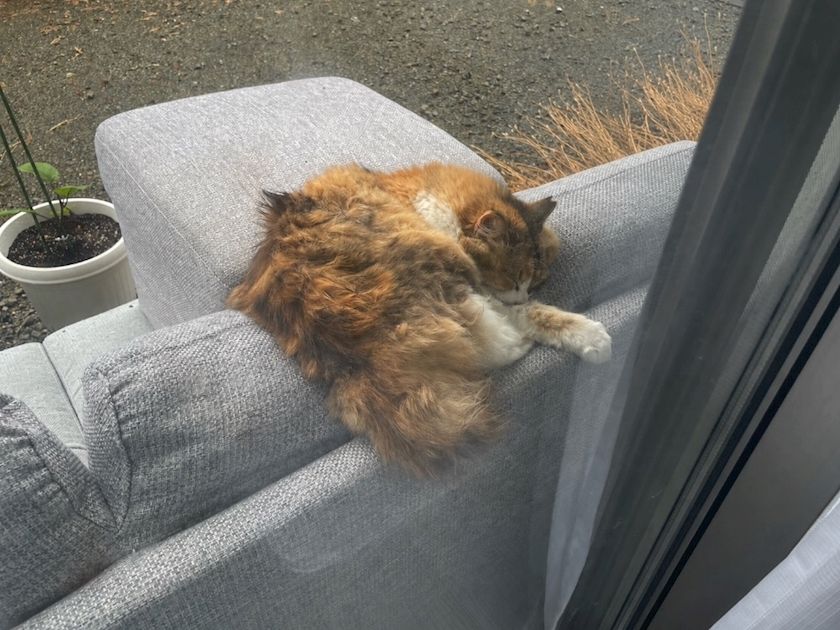 ゆうか