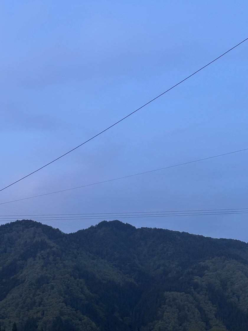 きょう