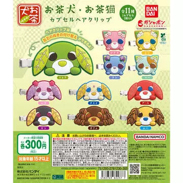 白石 愛莉