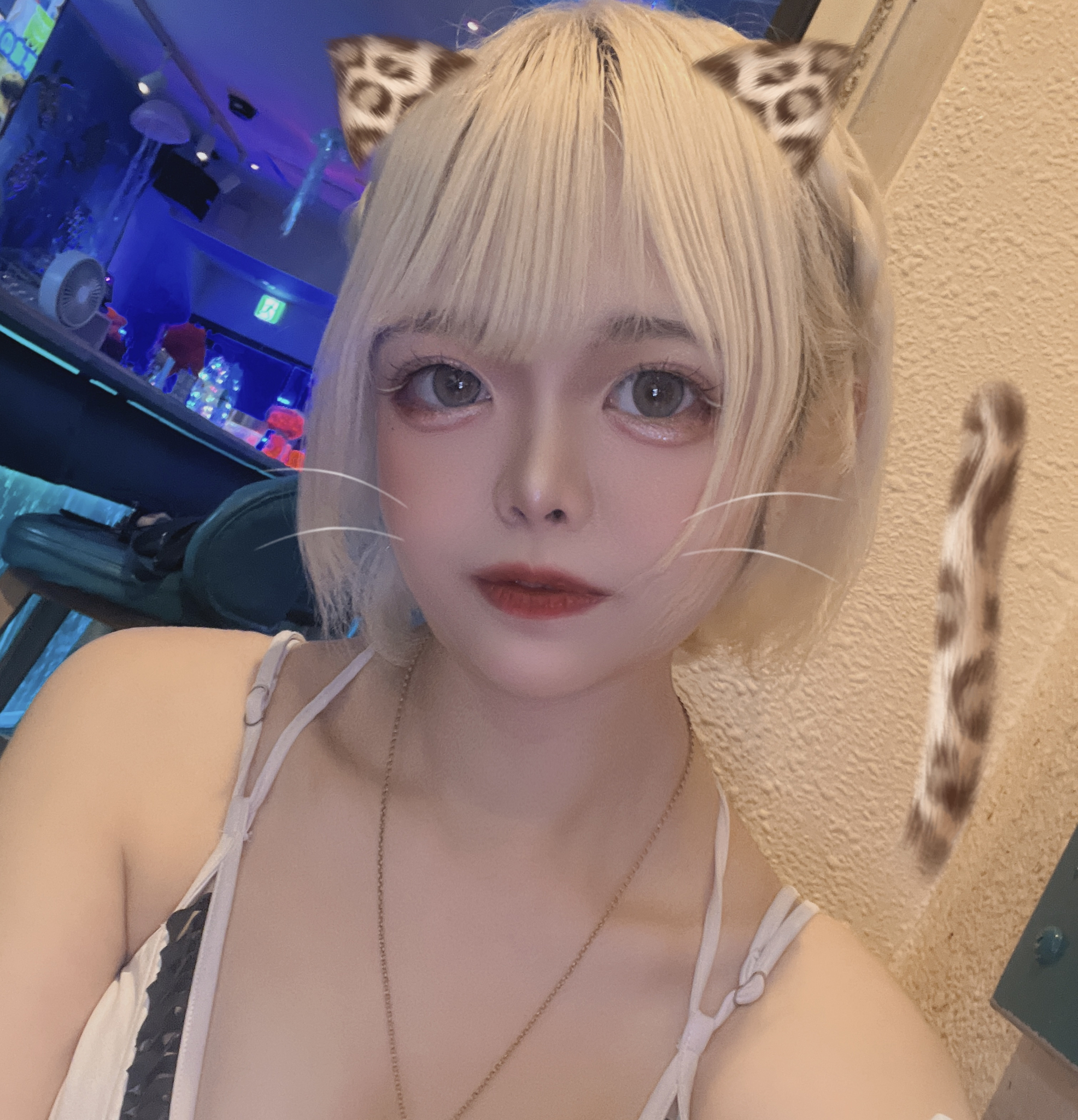 いろは