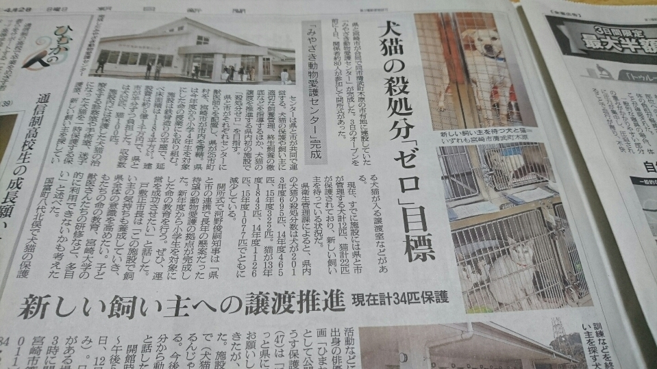 五条 椿