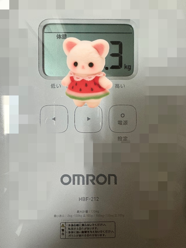四宮 ねこ