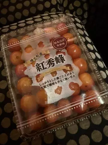 白石 愛莉