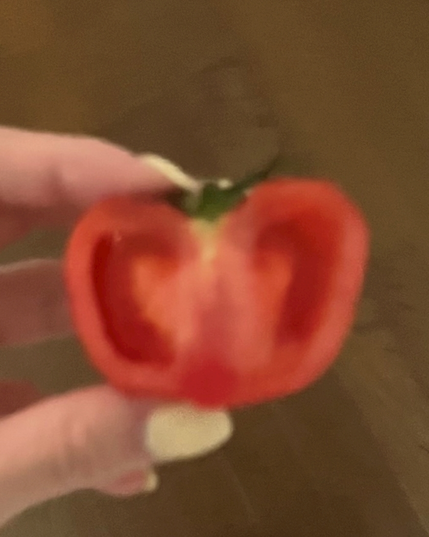 緑 四葉