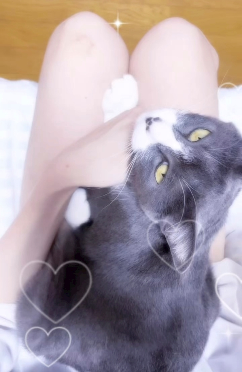 てぃな