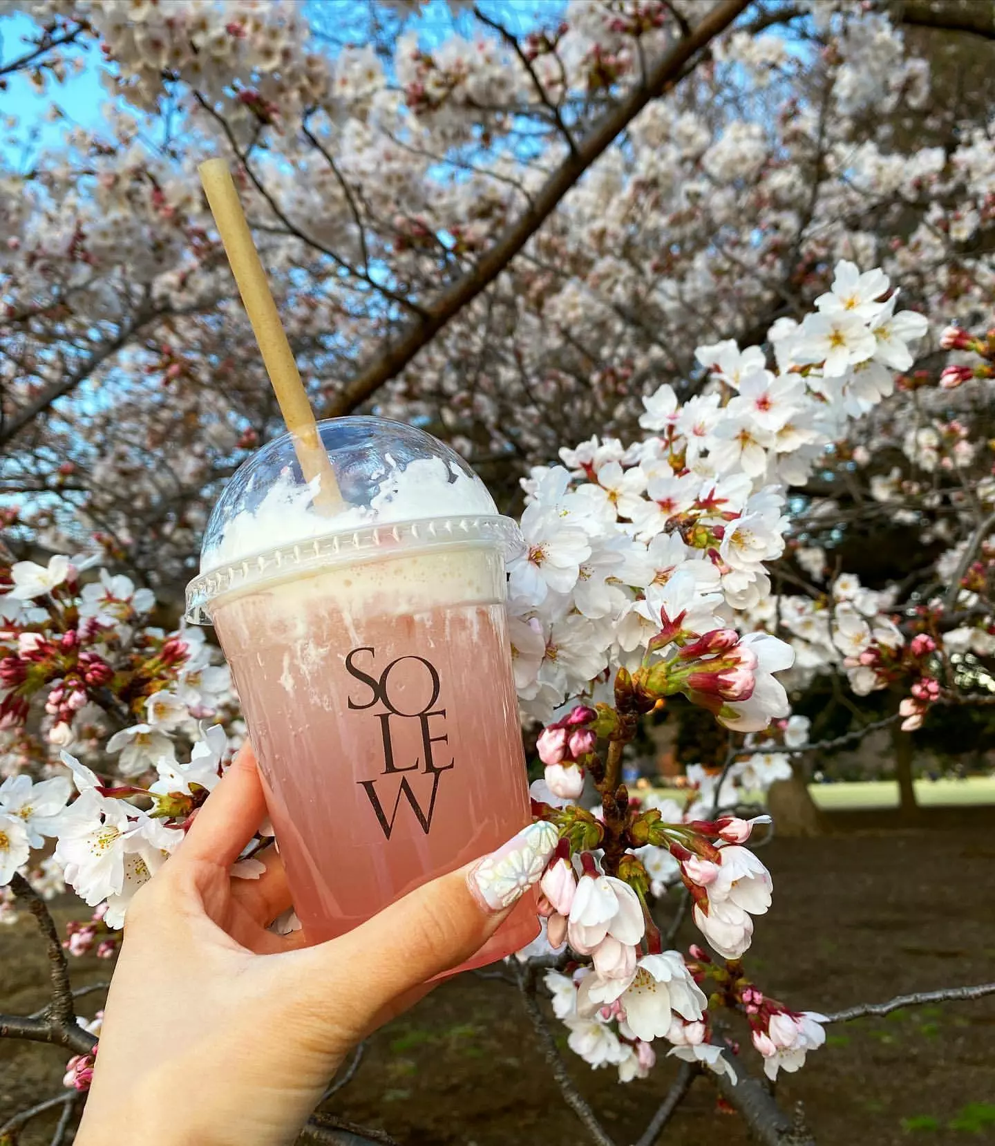 桜 ゆみ