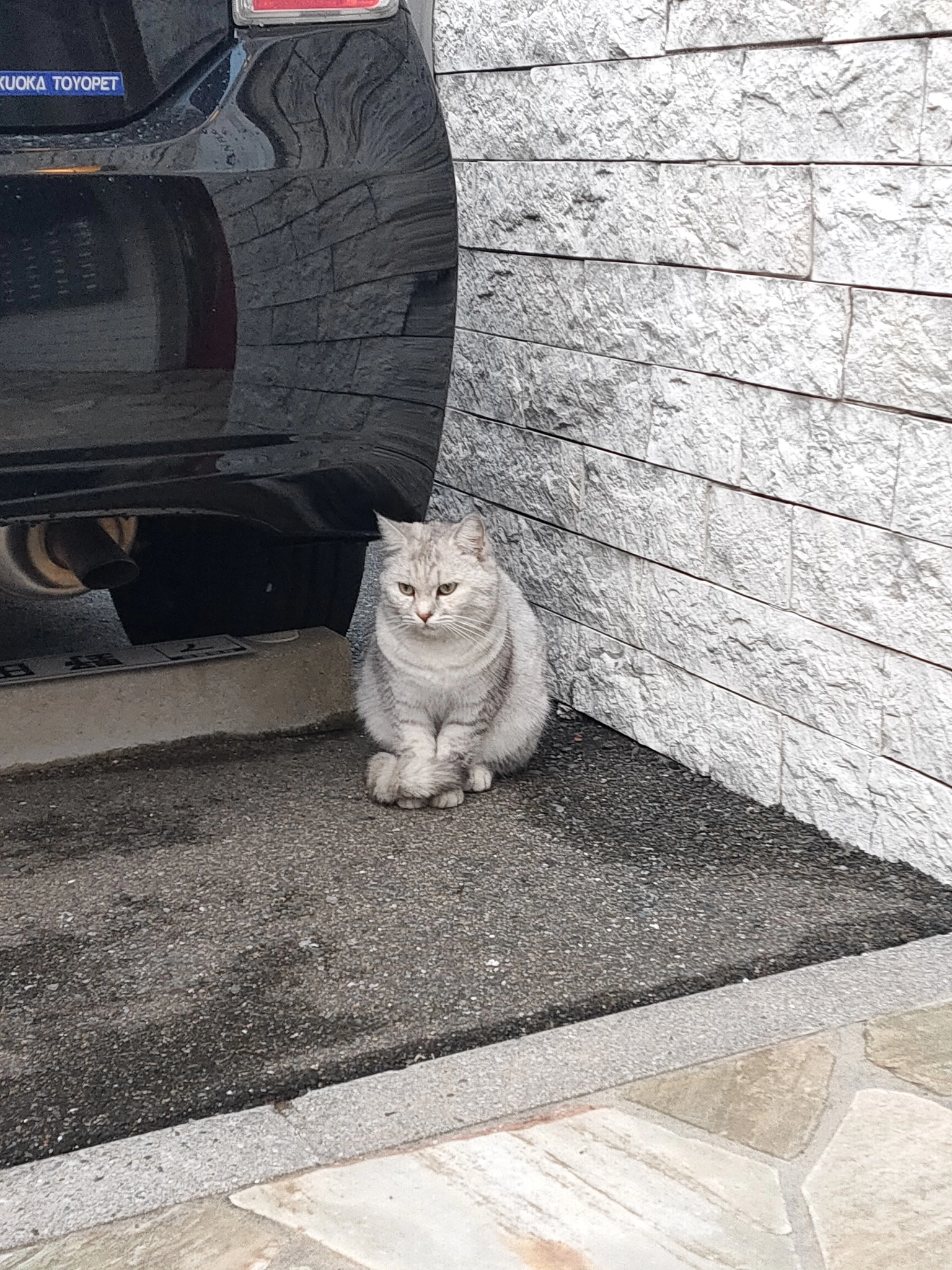 みなみ