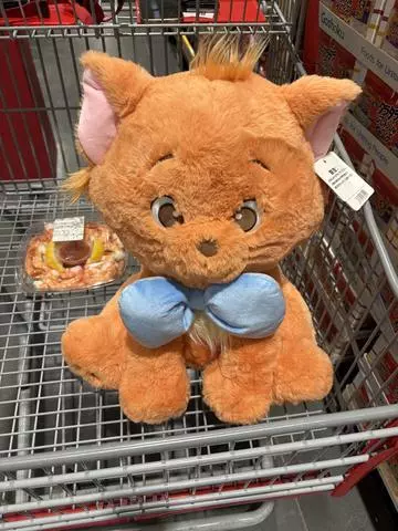神永 莉聖