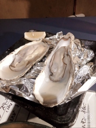 宝條 夏恋