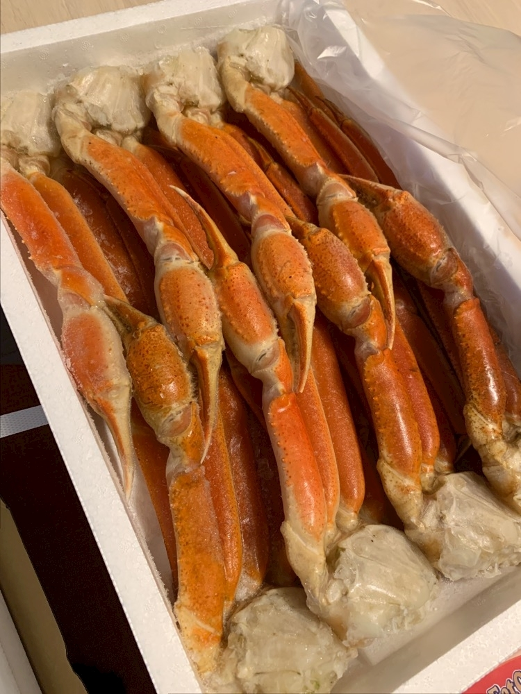 心海 るり