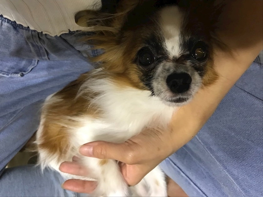 ティナ