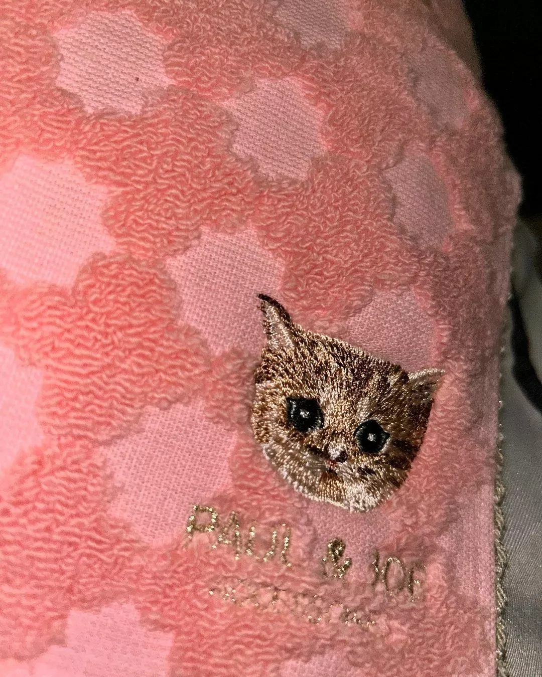 しおん