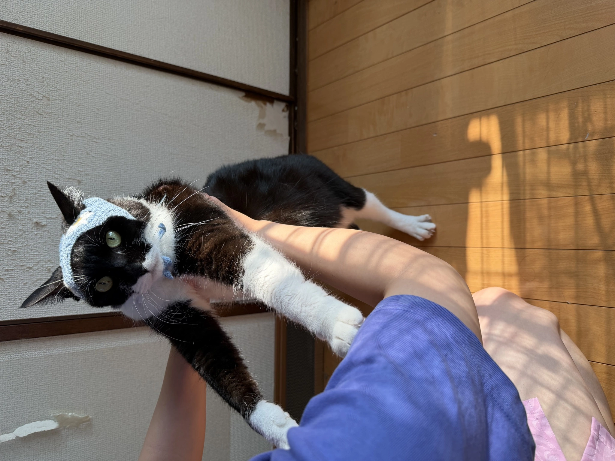 しおり