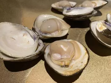 長瀬 純恋