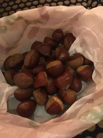 白石 愛莉