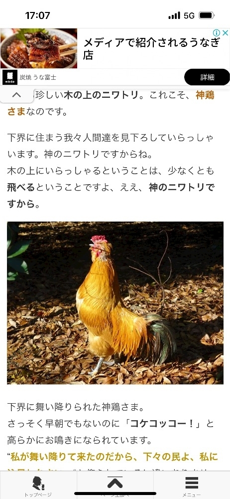 湊崎 さな