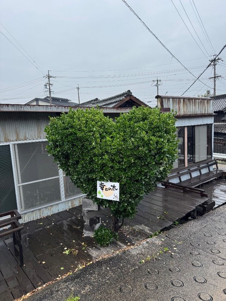 あや