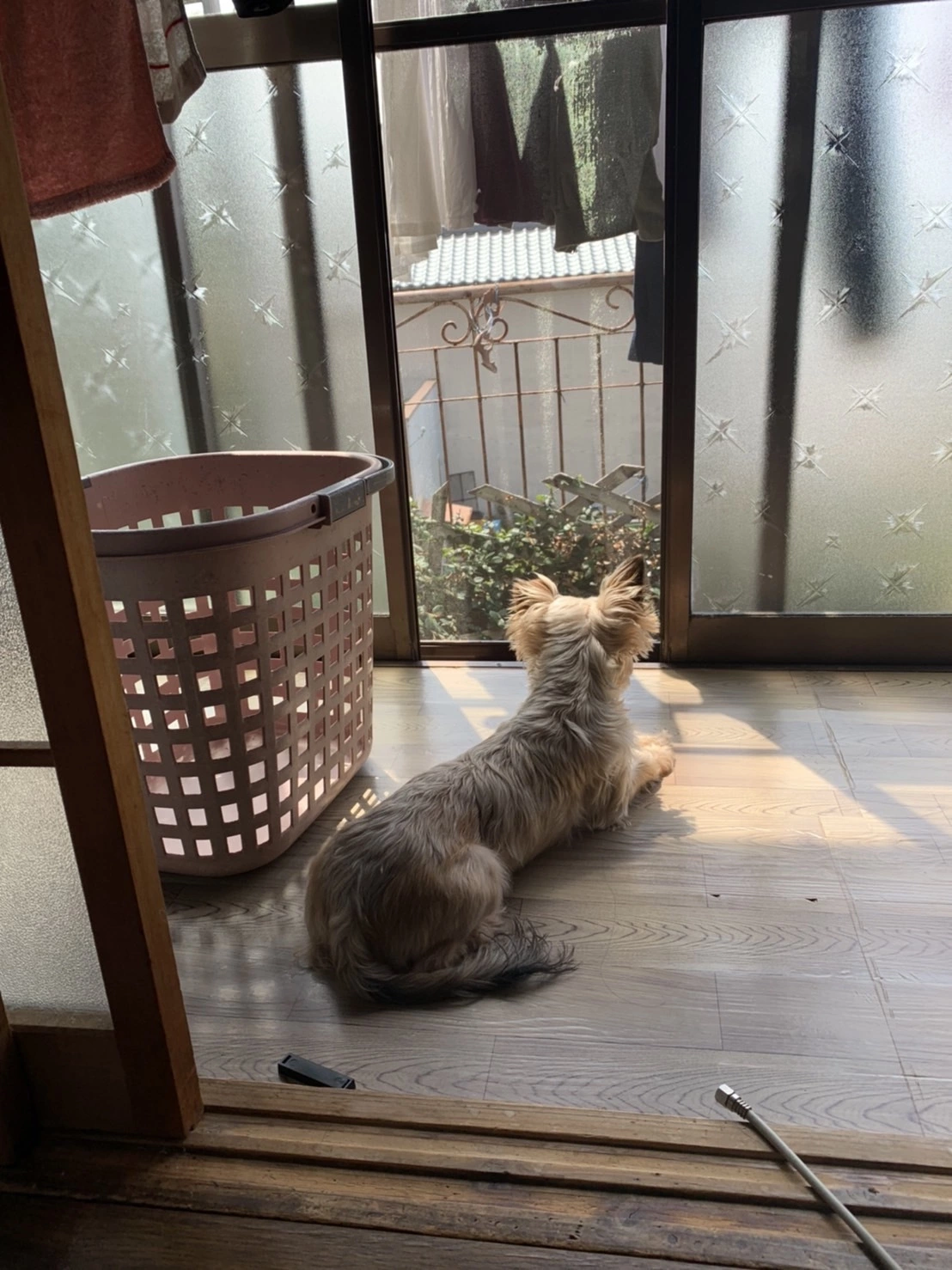 藤本 祐子ママ