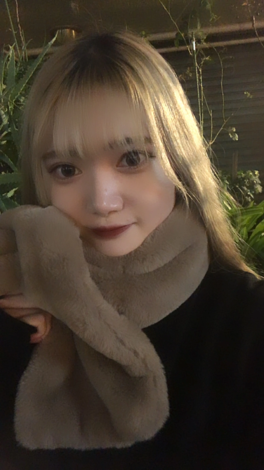 なぎさ
