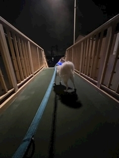 京 さゆみ