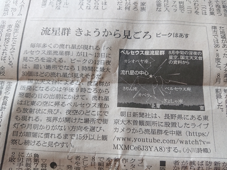 五条 椿