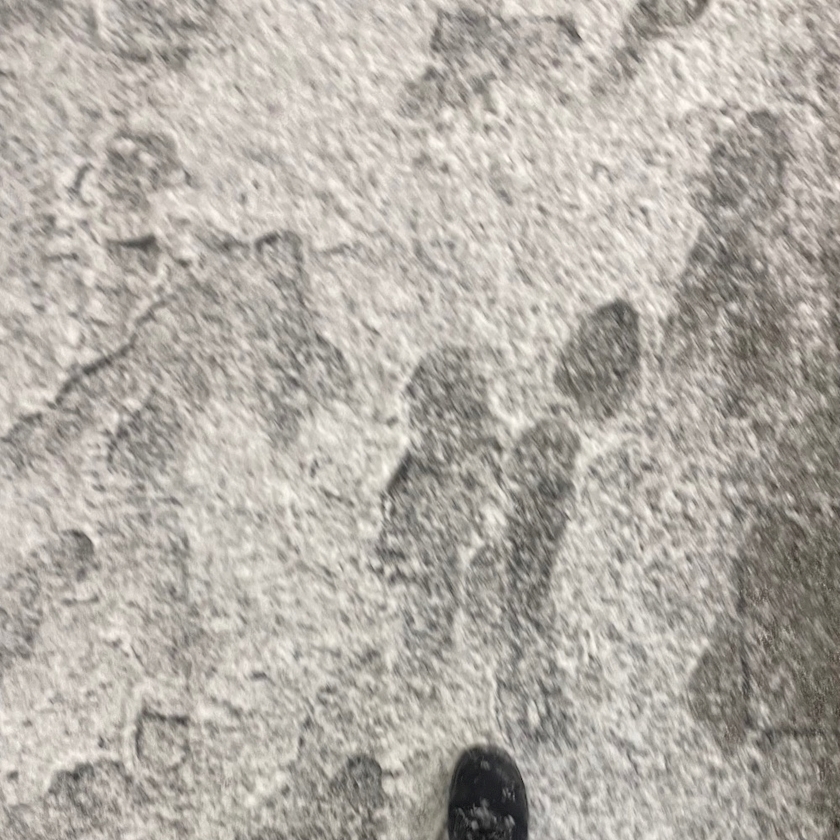 ひじり
