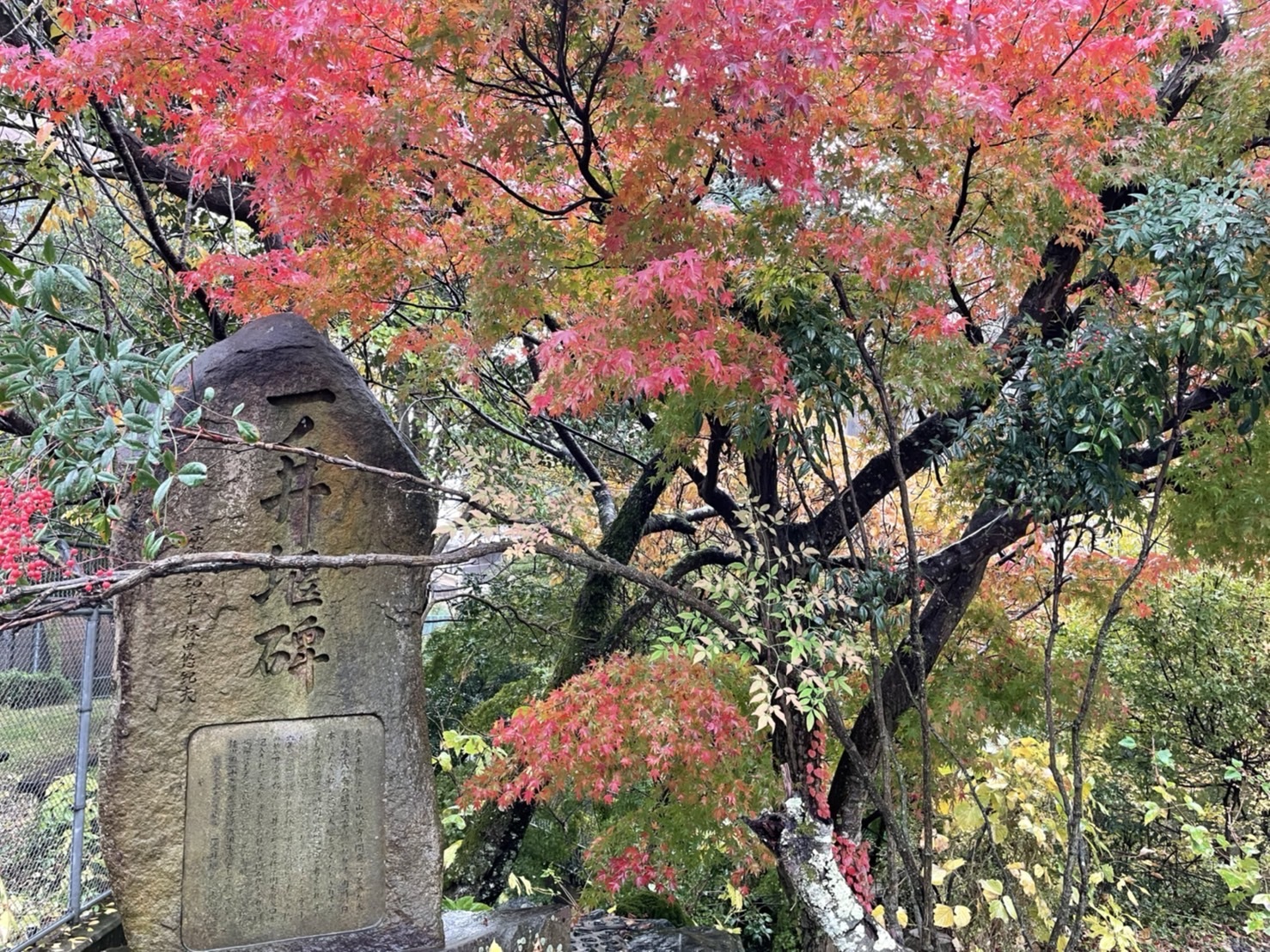 藤本 祐子ママ