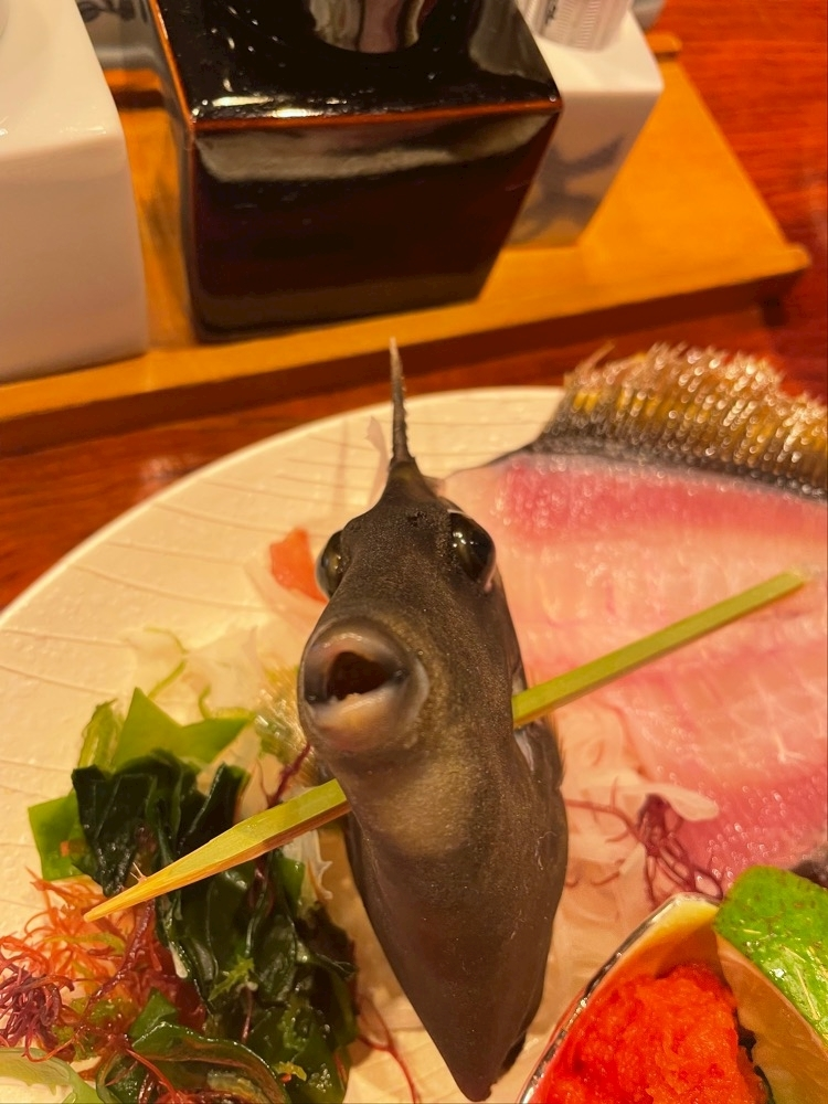 美月