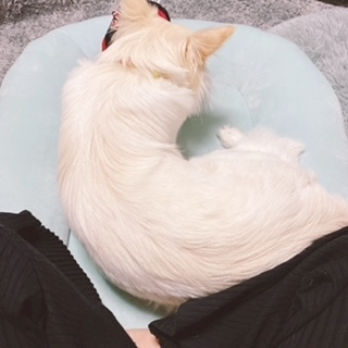 京 さゆみ