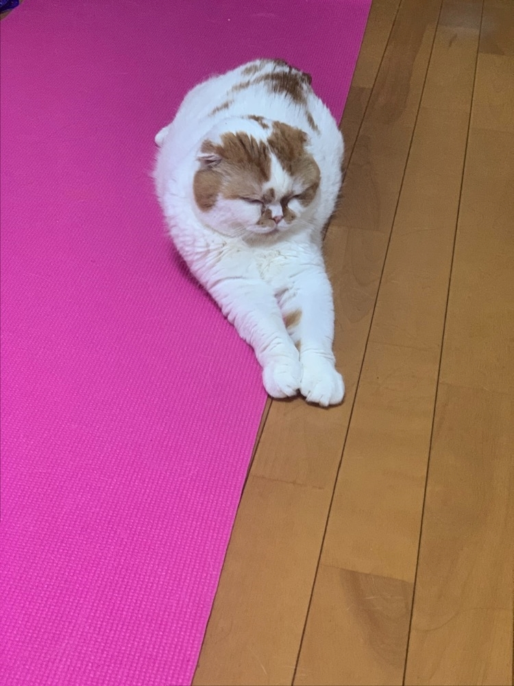 れみ