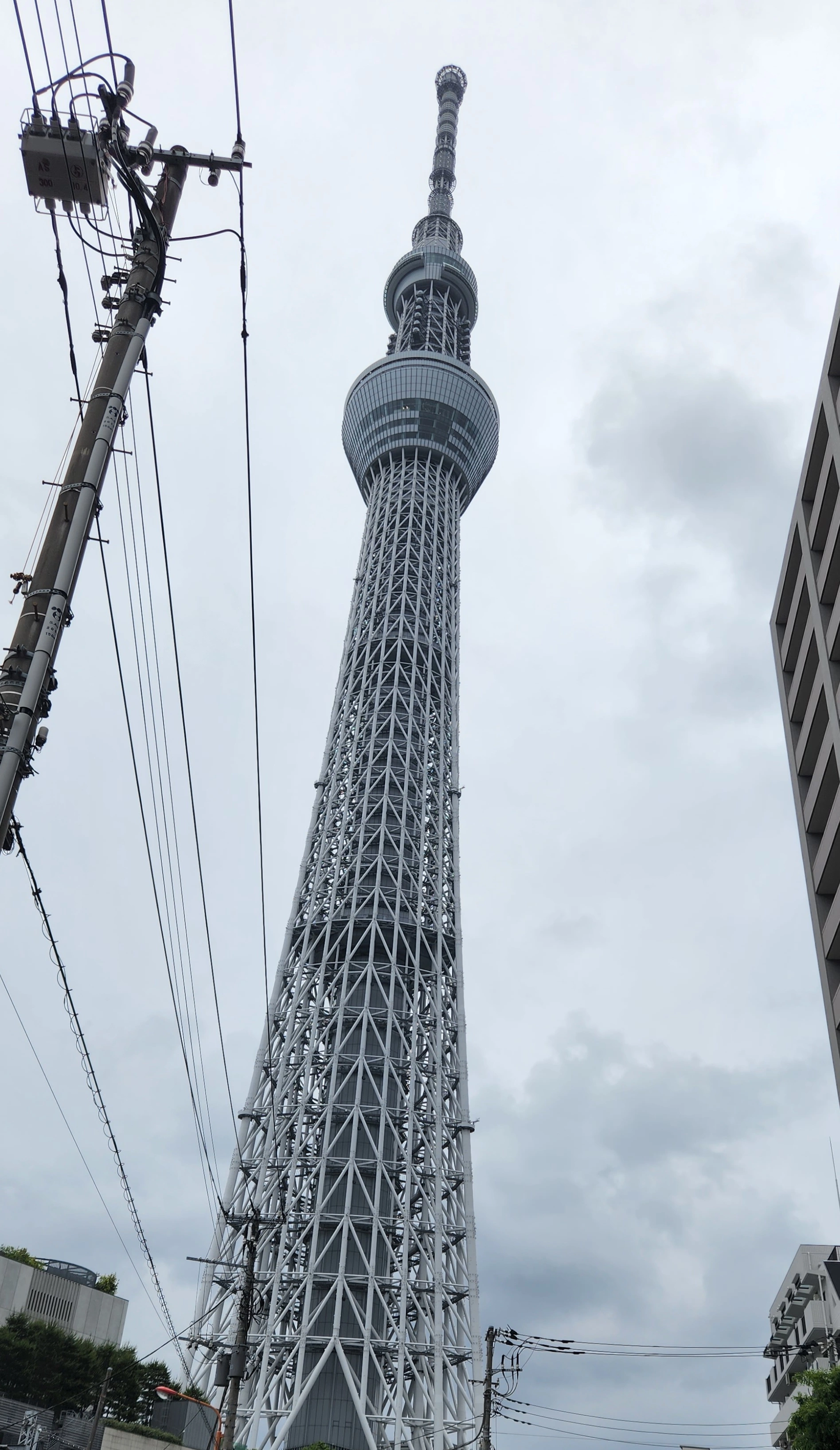紫音