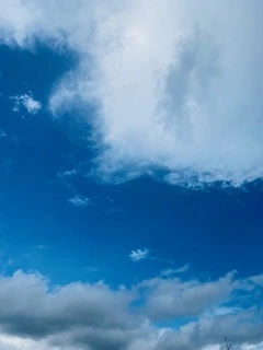 ゆかり
