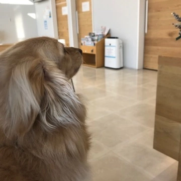 美咲