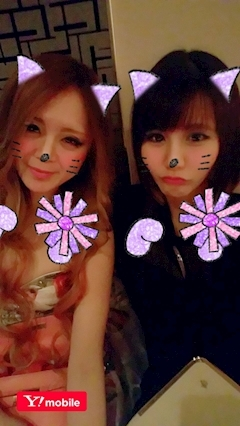 姫花