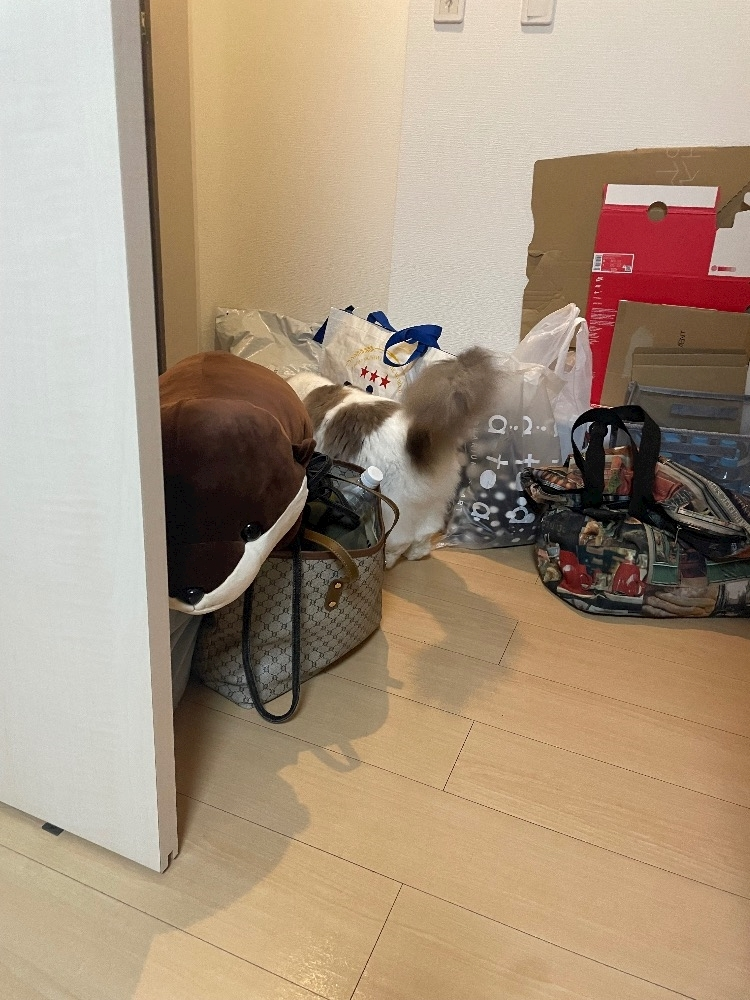 辻 みなみ