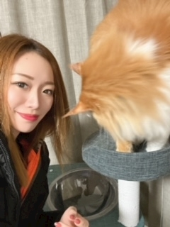 桐島 りゅう