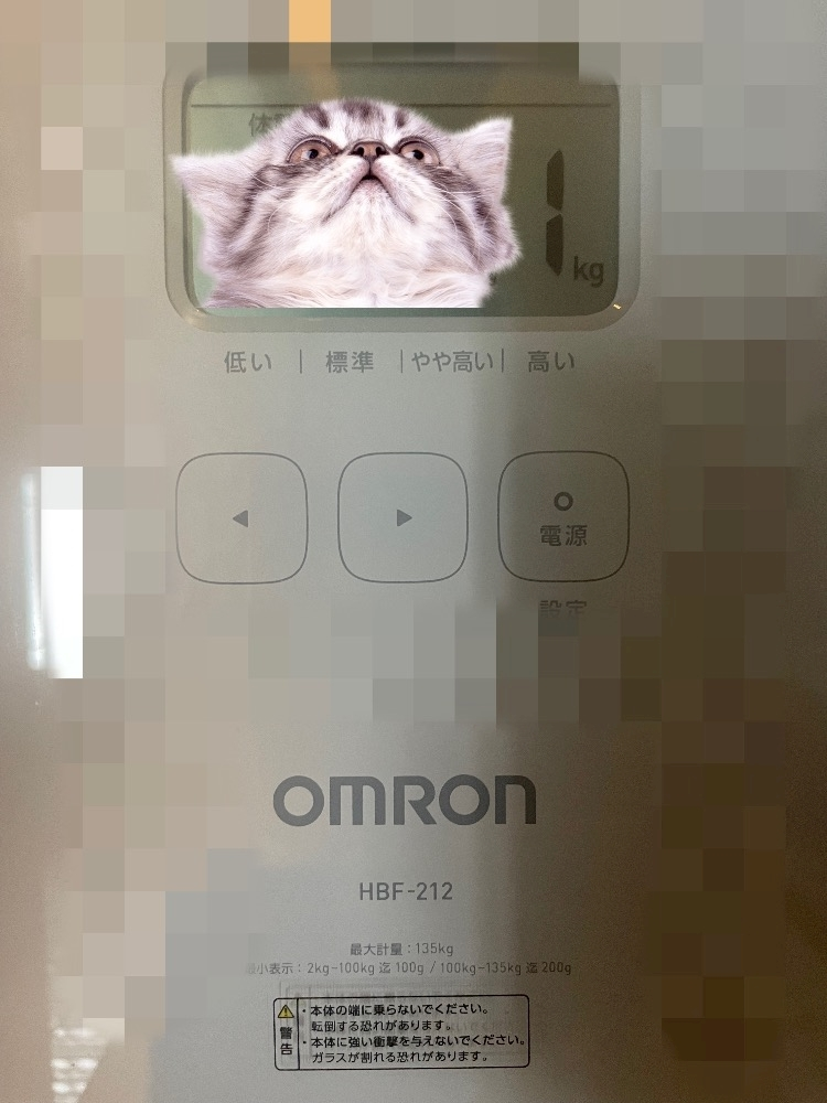 四宮 ねこ