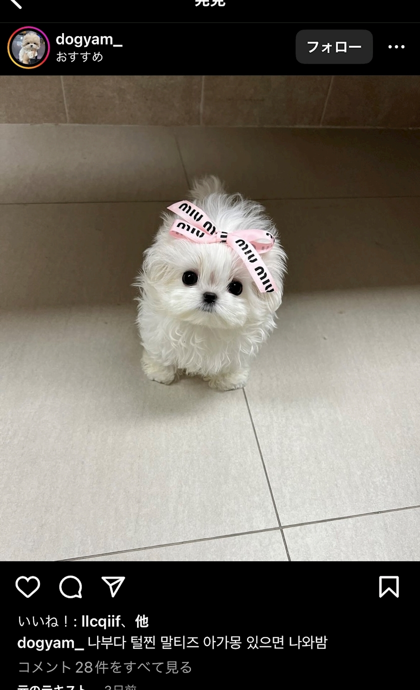 椎名 あかね