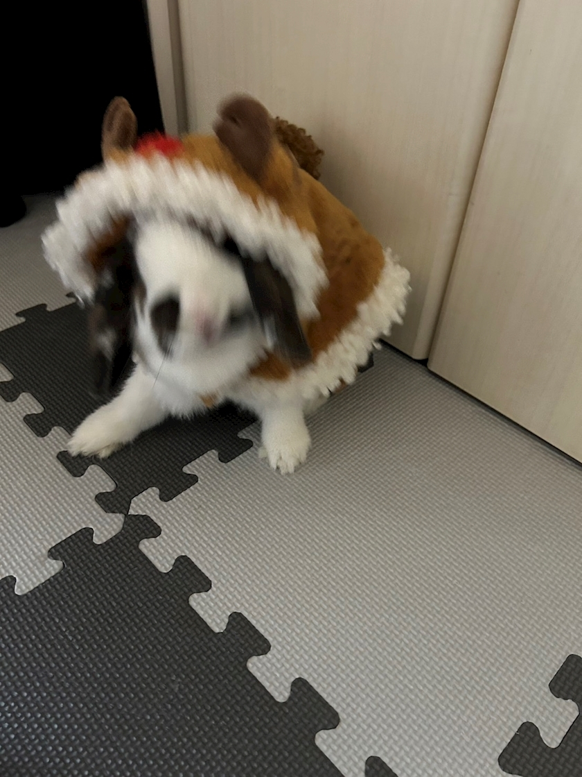 湊崎 さな