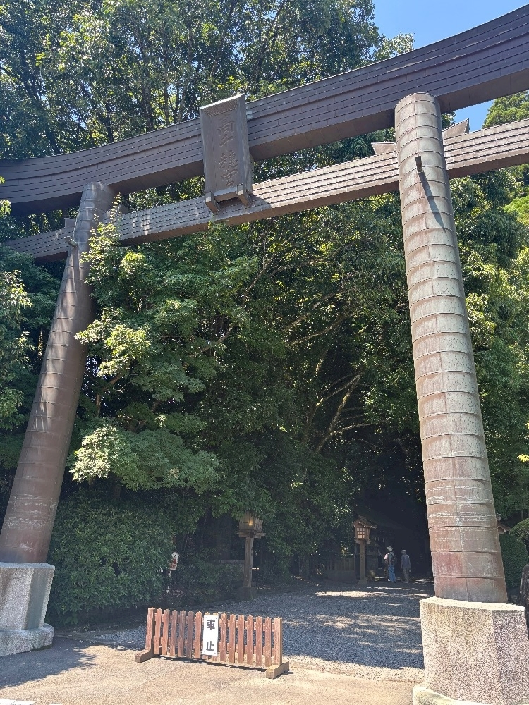椿