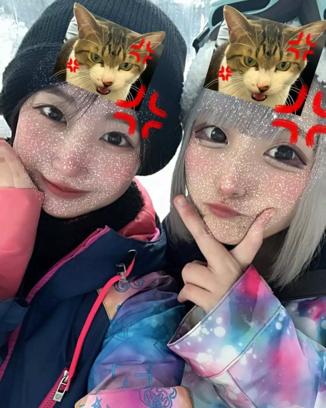 雛鶴 めい