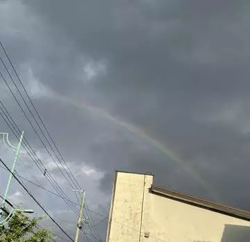 七星 夏純